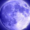 moonkyr