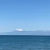 timgil31