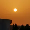 najmalilia