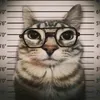 kot_tylera
