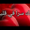 user8408561621345