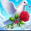 user806584316