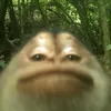 fentfi3nd