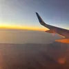 zoebirdx