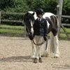 liv..and..indie