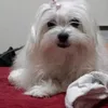 violettaviola96