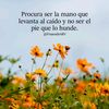 lili.16_1