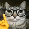 hurricanemood7