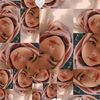 biey_han