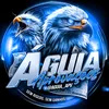 aguia_trampos