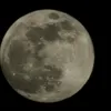 farcry976
