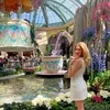 feeding.loryinvegas