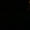 user023030273