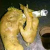santaikan_tubuh_ini