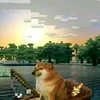 cheems_104