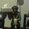 dontknowwhattotypeheree