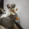 mhicajace