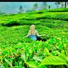 matcha_greentea77