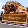 datmochp