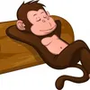 mody3004
