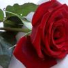 fatmayilmaz67_
