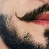 _ansari381_