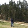 juansaavedra42