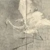 cadence1919