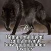 morenocarlosmoreno