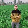 mustafaabdelbasse