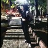 tugceqqv