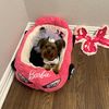 mocha.yorkie