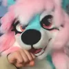 kandikotton_