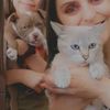 kittyynala