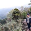 uleebungsu