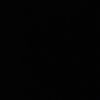 tywp25