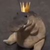 sensei_rool