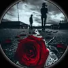 74jy_gy4n
