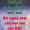 ngn.hquan