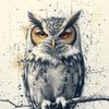 _hootz