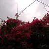 she_sky11
