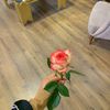 fatima_almuhalhel