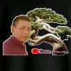 putralanggeng2