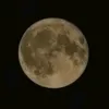 ajammatsan