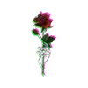 izz.ivy