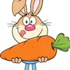 rublihop