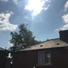 liamshaw_tl
