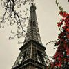 darinmohamed37