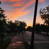 dianaoliveira274