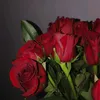 sara_h65